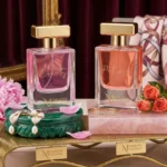 The Feminine Power Collection | Equity & Protocol