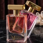 The Feminine Power Collection | Equity & Protocol