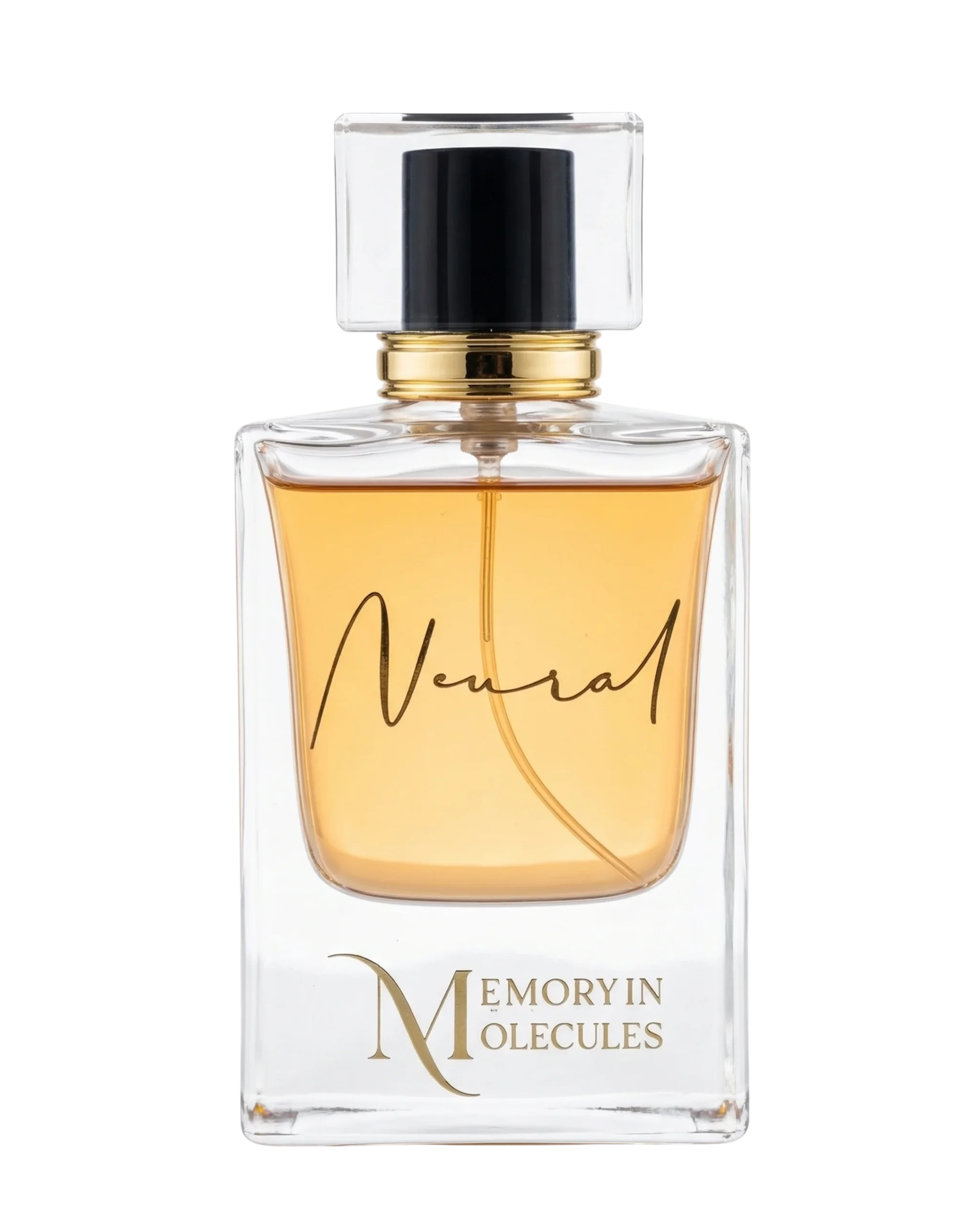 Neural – Amber Flux Edition